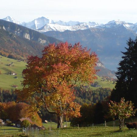 Hotel Rothorn Vintage-Style Sigriswil Buitenkant foto